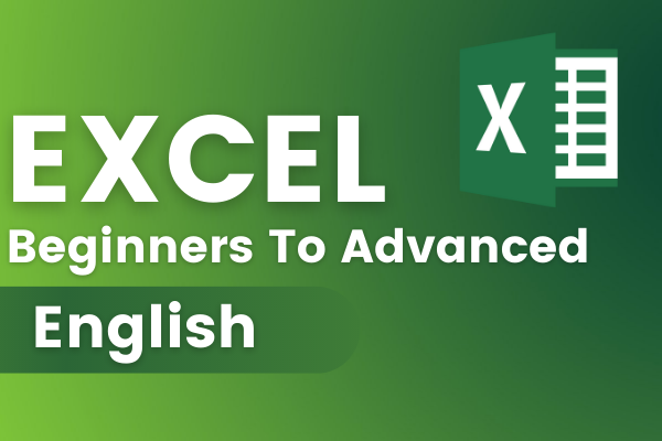 MS Excel Beginners to Advanced Online Course - English
