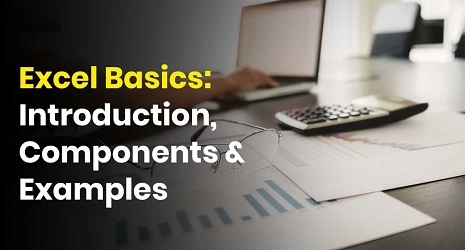 Excel Basics: Introduction, Components & Examples